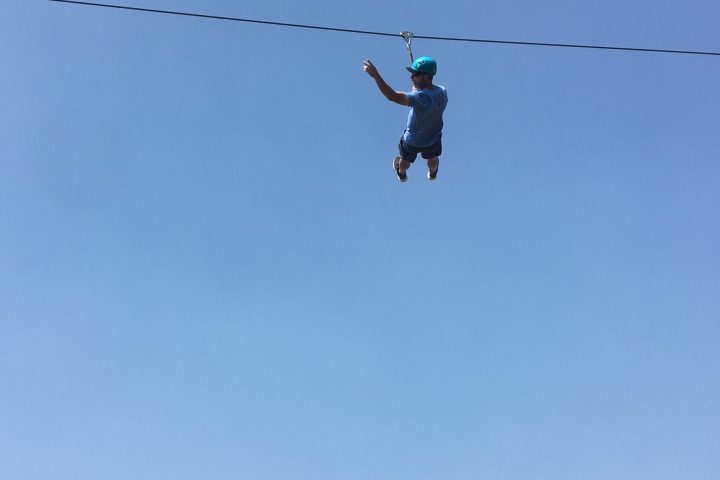 a flock of seagulls flying in the sky