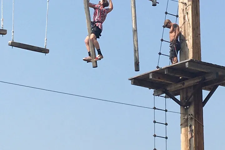 a flock of birds sitting on a wire